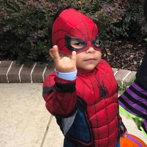 Meet your Posher, Alma grisel